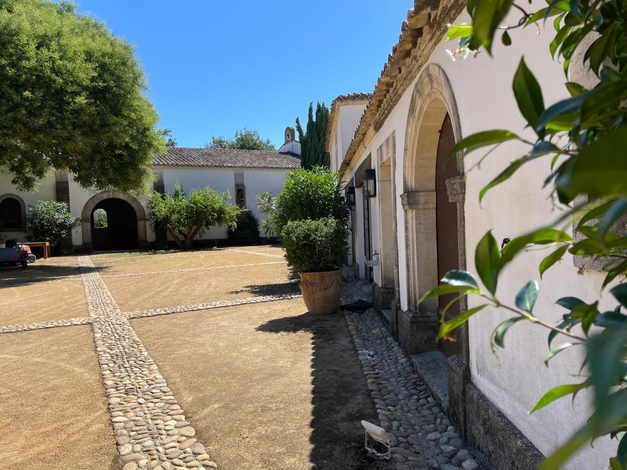 Mas Des Becasses, En Provence - 22 Personnes Villa Arles Kültér fotó